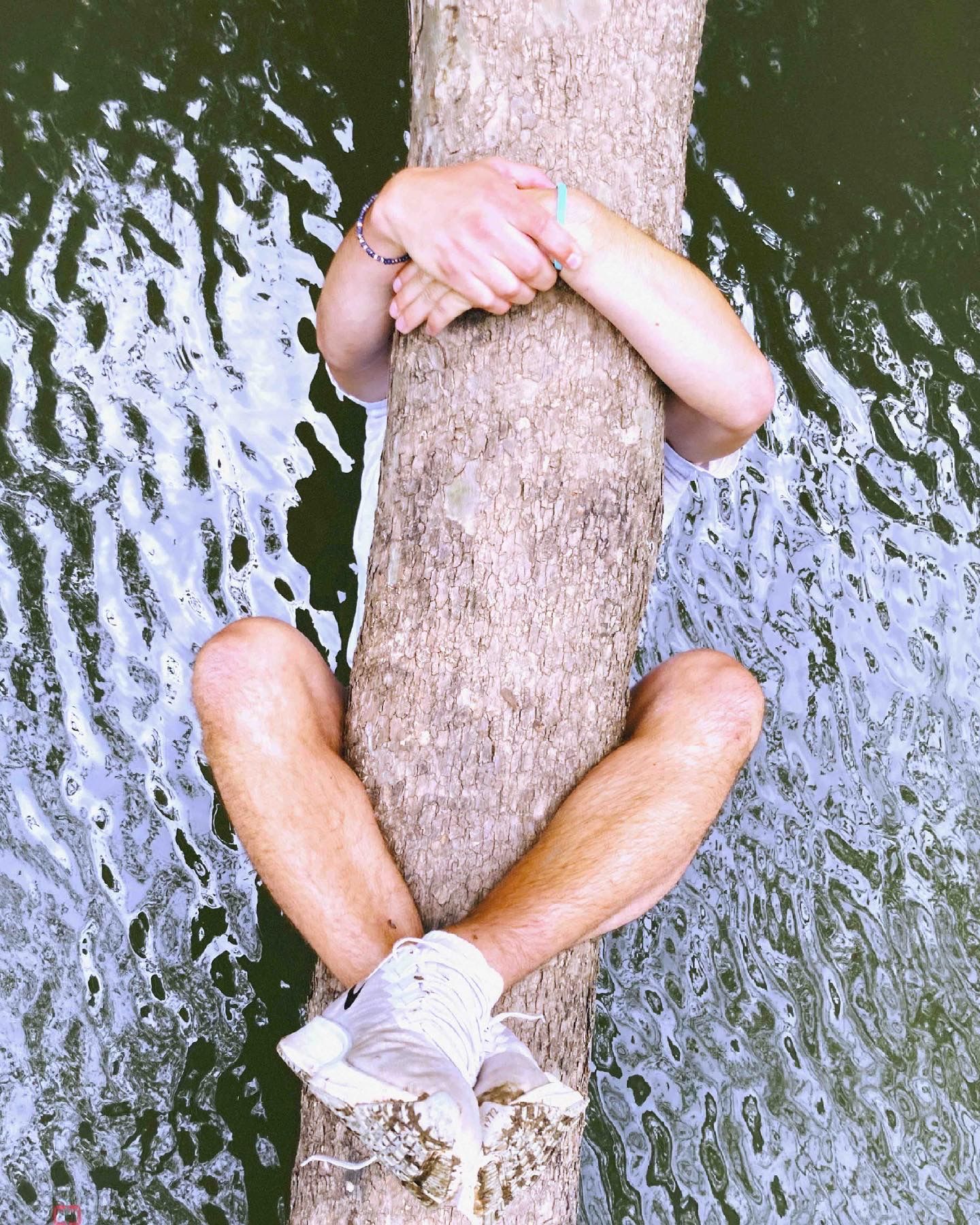 Photo by Holden Brown